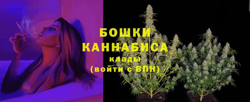 Бошки Шишки THC 21%  дарнет шоп  Харовск 